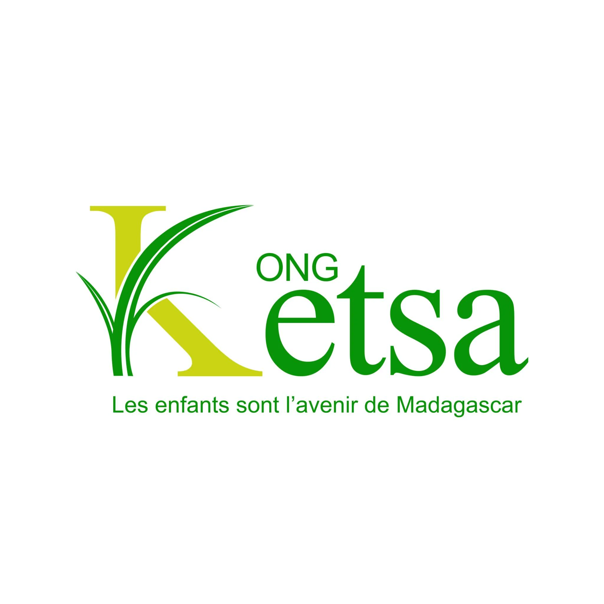 Logo ONG Ketsa